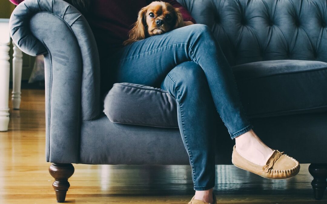 Bliv klogere på økonomi fra sofaen